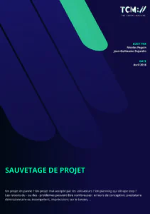 sauvetage de projet